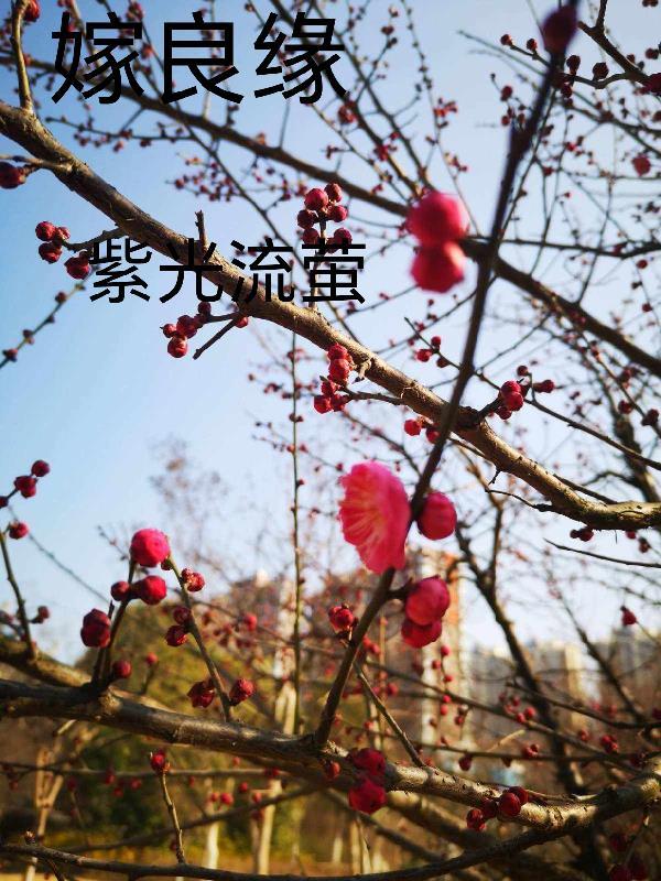 穿越过去和现在的