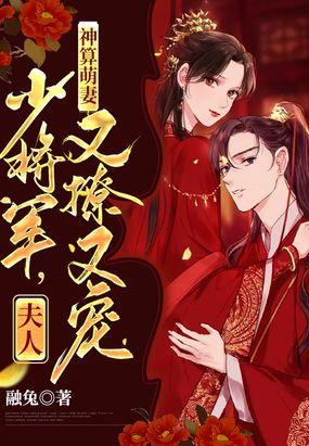 朕偏要让你怀上朕的孩子