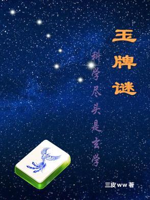 金牌小王爷沈冰岚